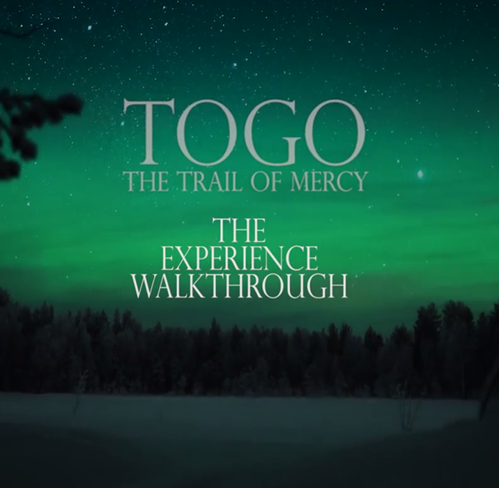 Follow Togo as he goes on a journery to deliver the serum to save the children of Nome, a
                                 village in Alaska from epidemic. Created with the Drama department of CMU.
                                Platform: Oculus Rift, Date: Fall 2017